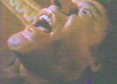 A Tribute to Roddy McDowall - Arnold (tight11.jpg)