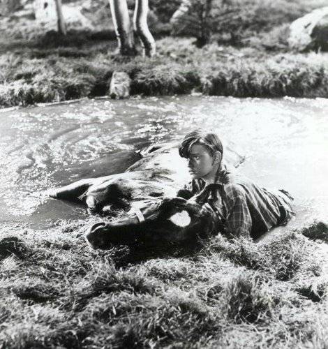 A Tribute to Roddy McDowall - My Friend Flicka (flicka10.jpg)