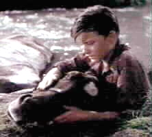 A Tribute to Roddy McDowall - My Friend Flicka (flicka11.jpg)