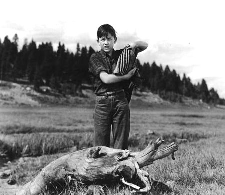 A Tribute to Roddy McDowall - My Friend Flicka (flicka14.jpg)