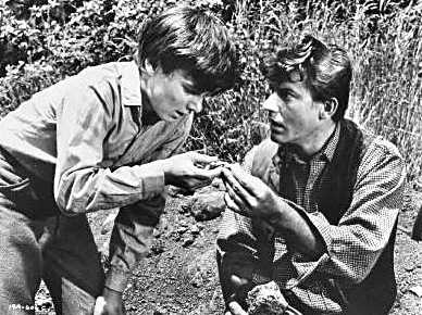 A Tribute to Roddy McDowall - Adventures of Bullwhip Griffin (bullwhip21.jpg)