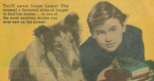 A Tribute to Roddy McDowall - Lassie Come Home (comics.jpg)