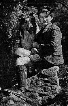 A Tribute to Roddy McDowall - Lassie Come Home (lassie07.jpg)