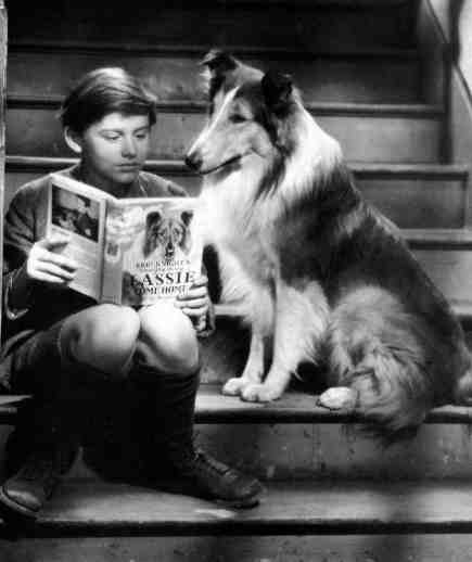 A Tribute to Roddy McDowall - Lassie Come Home (lassie13.jpg)