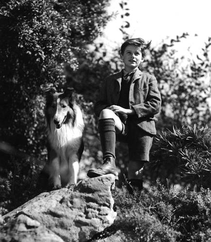 A Tribute to Roddy McDowall - Lassie Come Home (lassie19.jpg)