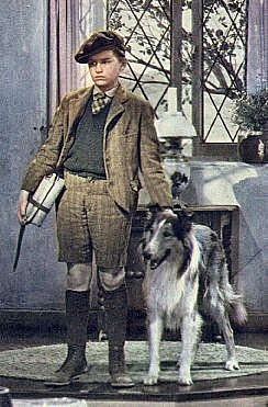 A Tribute to Roddy McDowall - Lassie Come Home (lassie29.jpg)