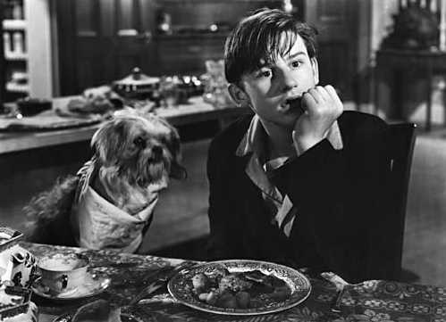 A Tribute to Roddy McDowall - Molly and Me (molly32.jpg)