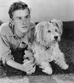 A Tribute to Roddy McDowall - Rocky (rocky04.jpg)